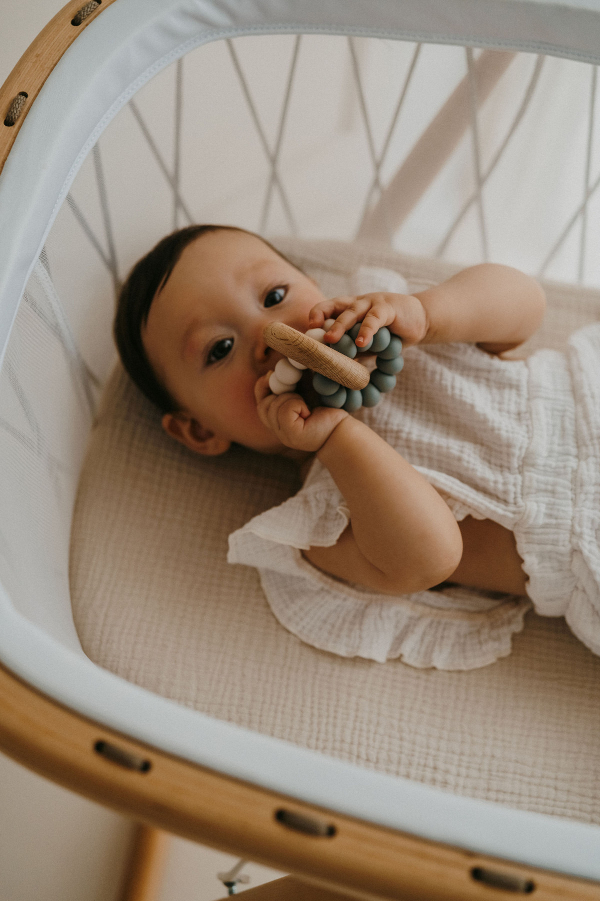 Anneau de dentition - Ocean