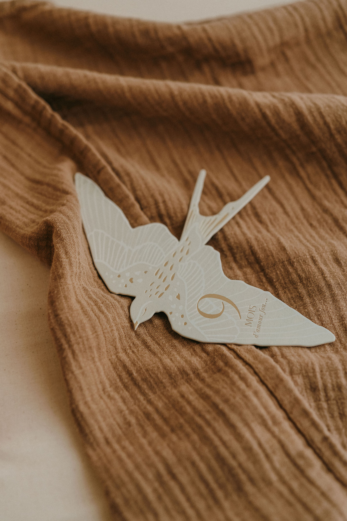 Cartes étapes Birds