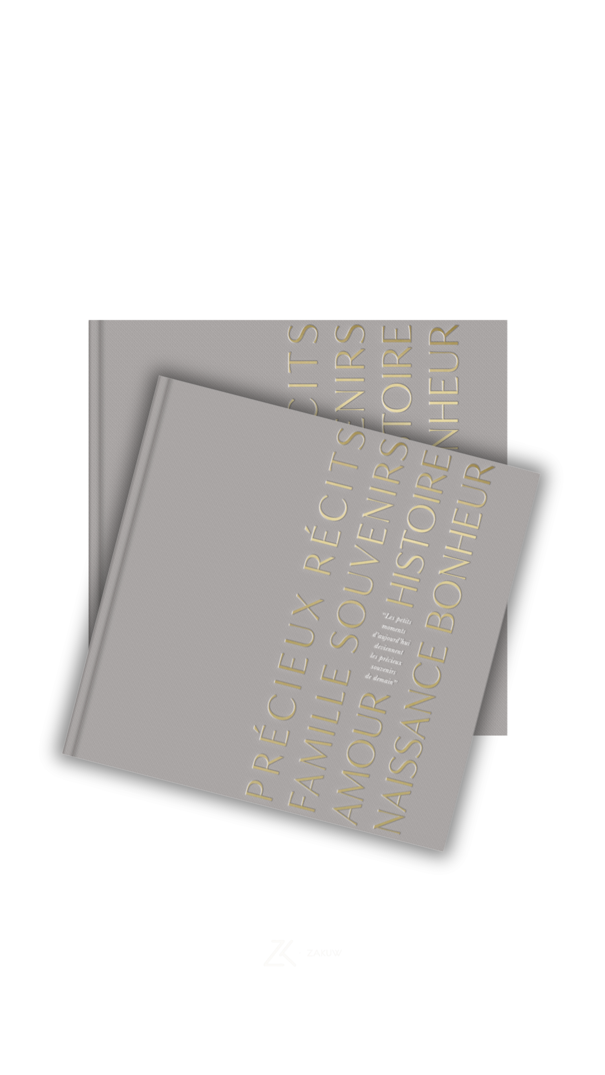 Duo Livres de naissance gris