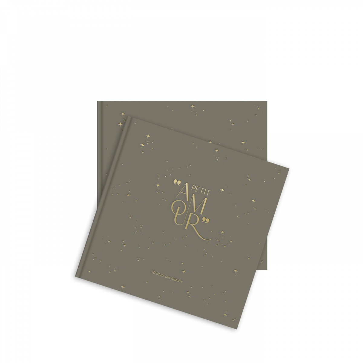 Duo Livres de naissance sauge