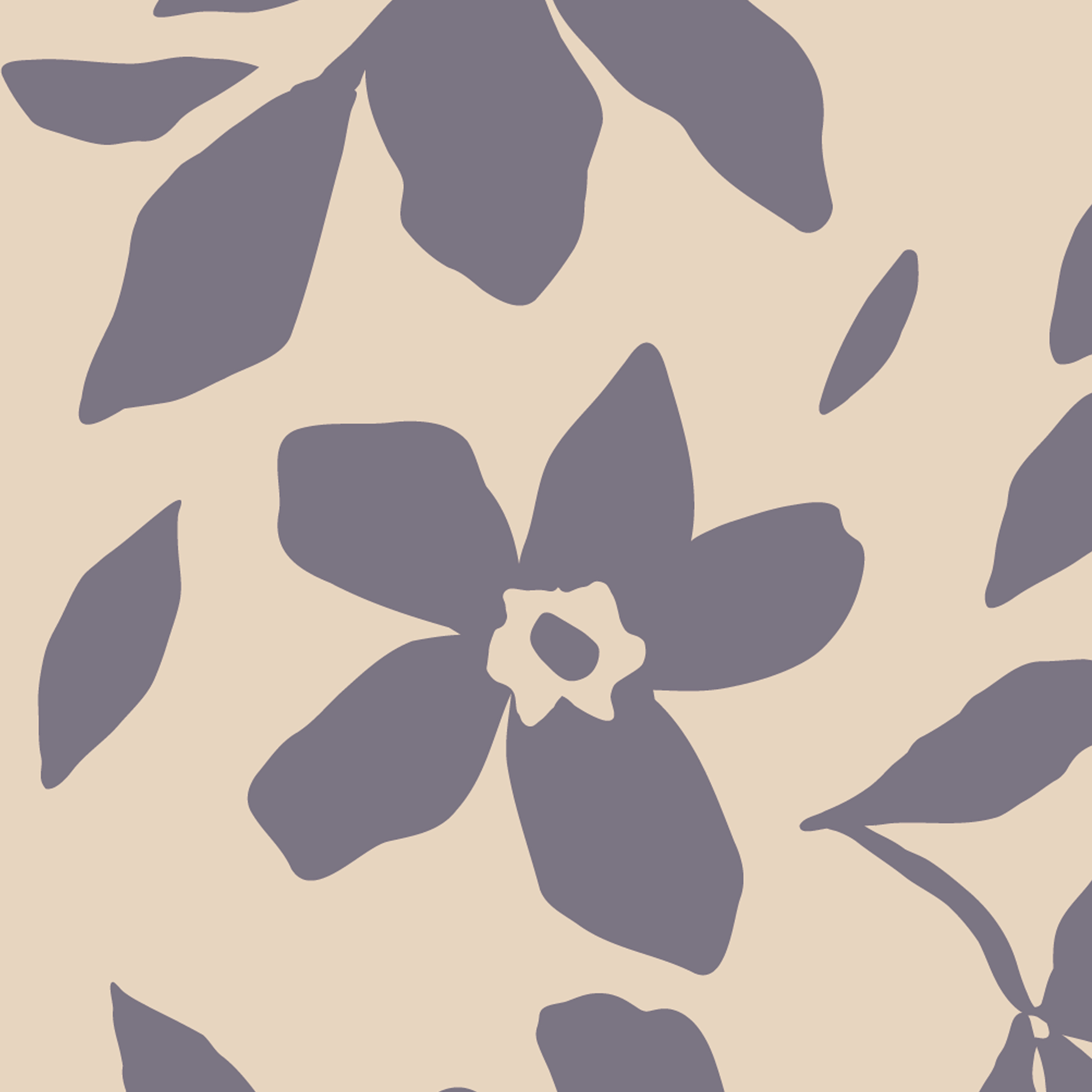 Blossom